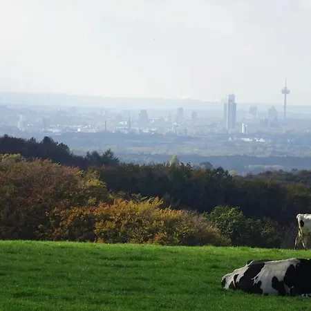 Neue 90 Qm 2-zimmerwohnung Naehe Koeln *