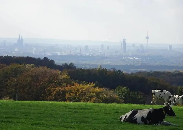 Neue 90 Qm 2-zimmerwohnung Naehe Koeln *